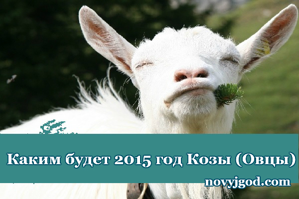 Что ждет козу в 2018 году в год петуха Что ждет козу в 2018 году в год петуха