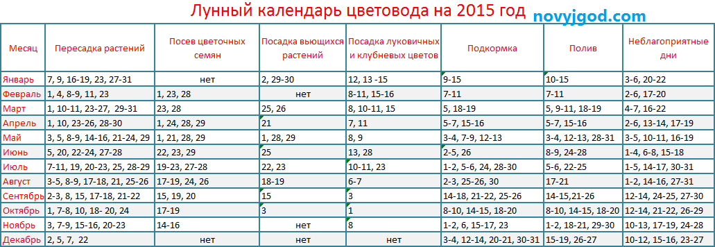 Когда лучше пересаживать денежное дерево по лунному календарю 2018 Когда лучше пересаживать денежное дерево по лунному календарю 2018