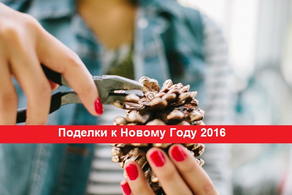 Поделки 2016