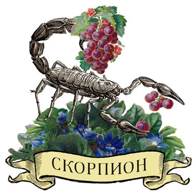 Гороскоп 2018 Скорпион. Для женщины и мужчины на год Гороскоп 2018 Скорпион. Для женщины и мужчины на год