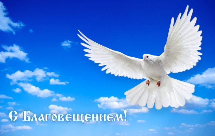 Трудовая слава России 2019 года | фотокаталог Трудовая слава России 2019 года | фотокаталог