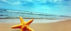 Места где отдохнуть летом на море