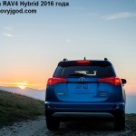 Toyota RAV4 2016 фото 19
