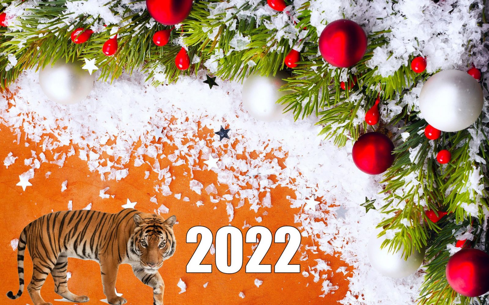 Капуки Кануки Новый Год 2022