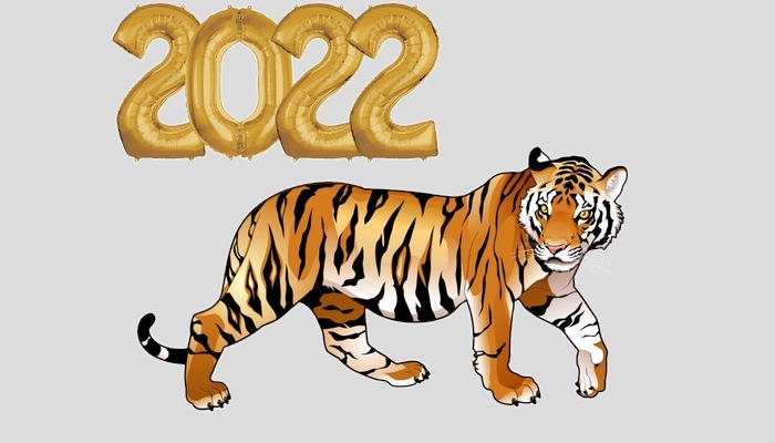 Новый 2022 Год Кого Животного