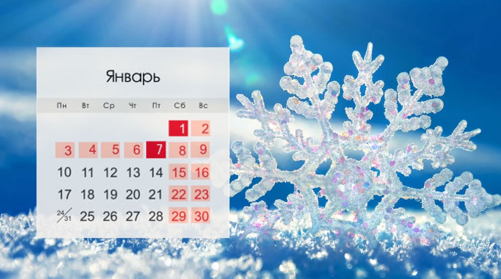 Сколько Дней До Нового Лета 2022
