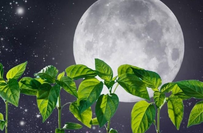 Новогодний Корпоратив Бти Нижневартовск 2022г